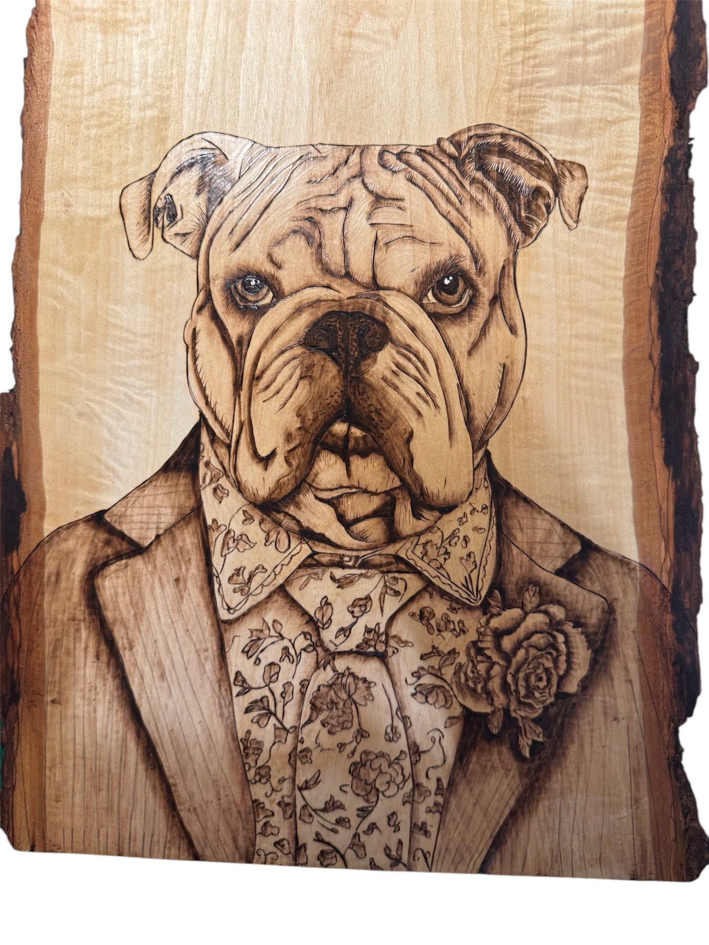 Fancy Bulldog